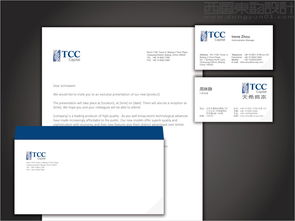 上海天希投資管理公司Logo設計案例解析 西風東韻的融合之美