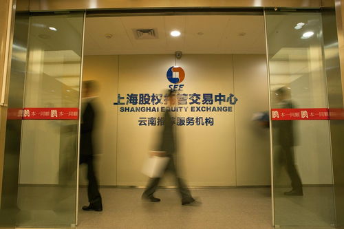 云南本一同順投資管理 深耕本土，鑄就投資管理新典范